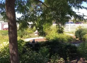 garden_patio_exterior